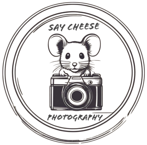 Say Cheese Photography